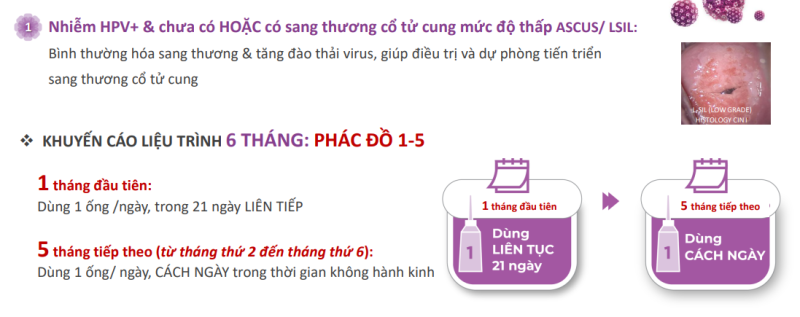 Gel đặt âm đạo Papilocare hỗ trợ đào thải HPV Phac do 51 2