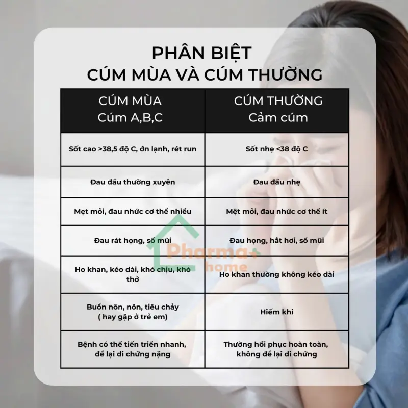 Cúm mùa và cúm thường: Làm thế nào để phân biệt? z6316485102277 c79ec26167678a42082cd13b9bfd767d