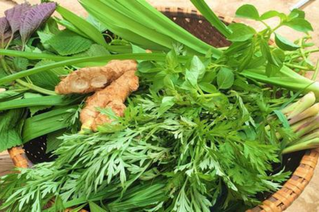 Xông lá giải cảm: Nguyên liệu dễ tìm, hiệu quả bất ngờ cac la xong 1