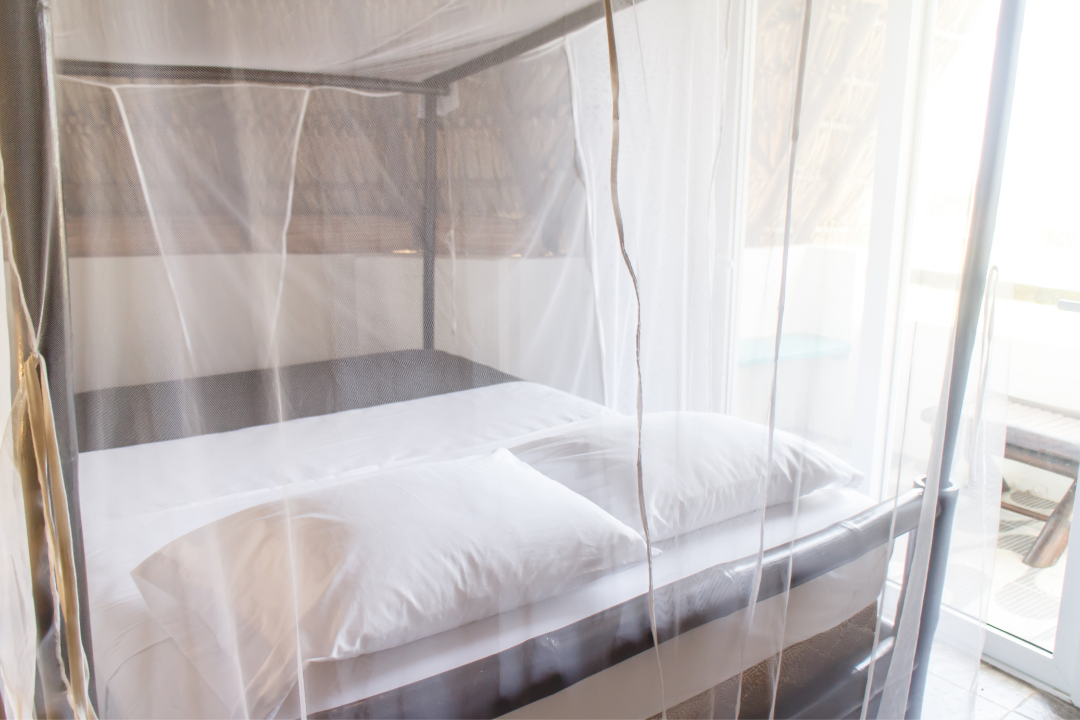 Mẹo Tránh Muỗi Đốt Cho Cả Trẻ Em Và Người Lớn chong muoi dot 4