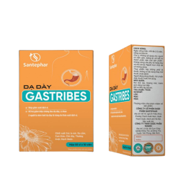 Dạ Dày Gastribes