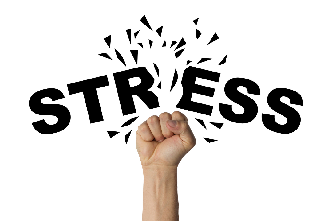 Dân Văn Phòng Và “Căn Bệnh” Stress- Hiểu Và Loại Bỏ stress 1