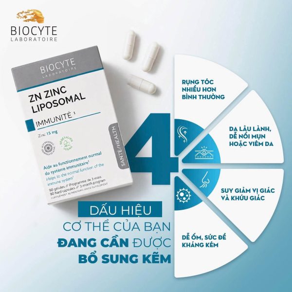 Kẽm-biocyte